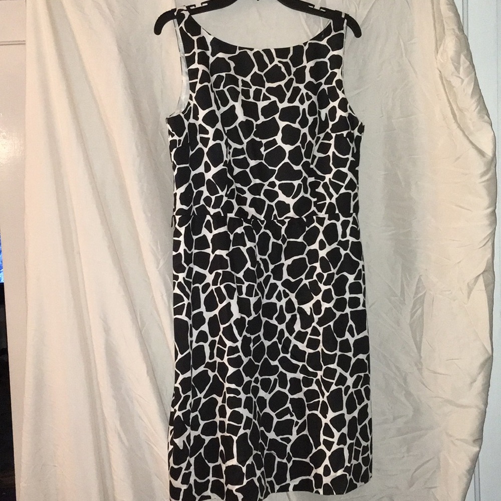 Ann Taylor Dress